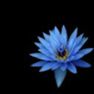 Meet your Posher, Nafeesah